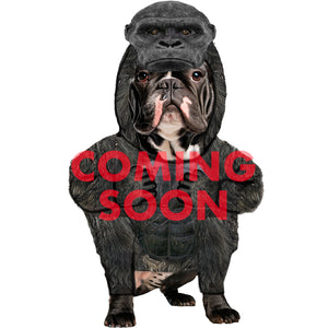 InSpirit Designs Godzilla x Kong The New Empire Kong Pet Costume